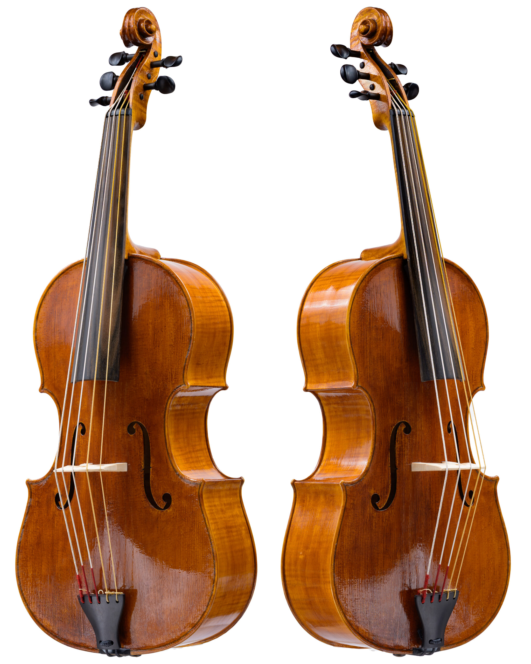 Violoncello Da Spalla
