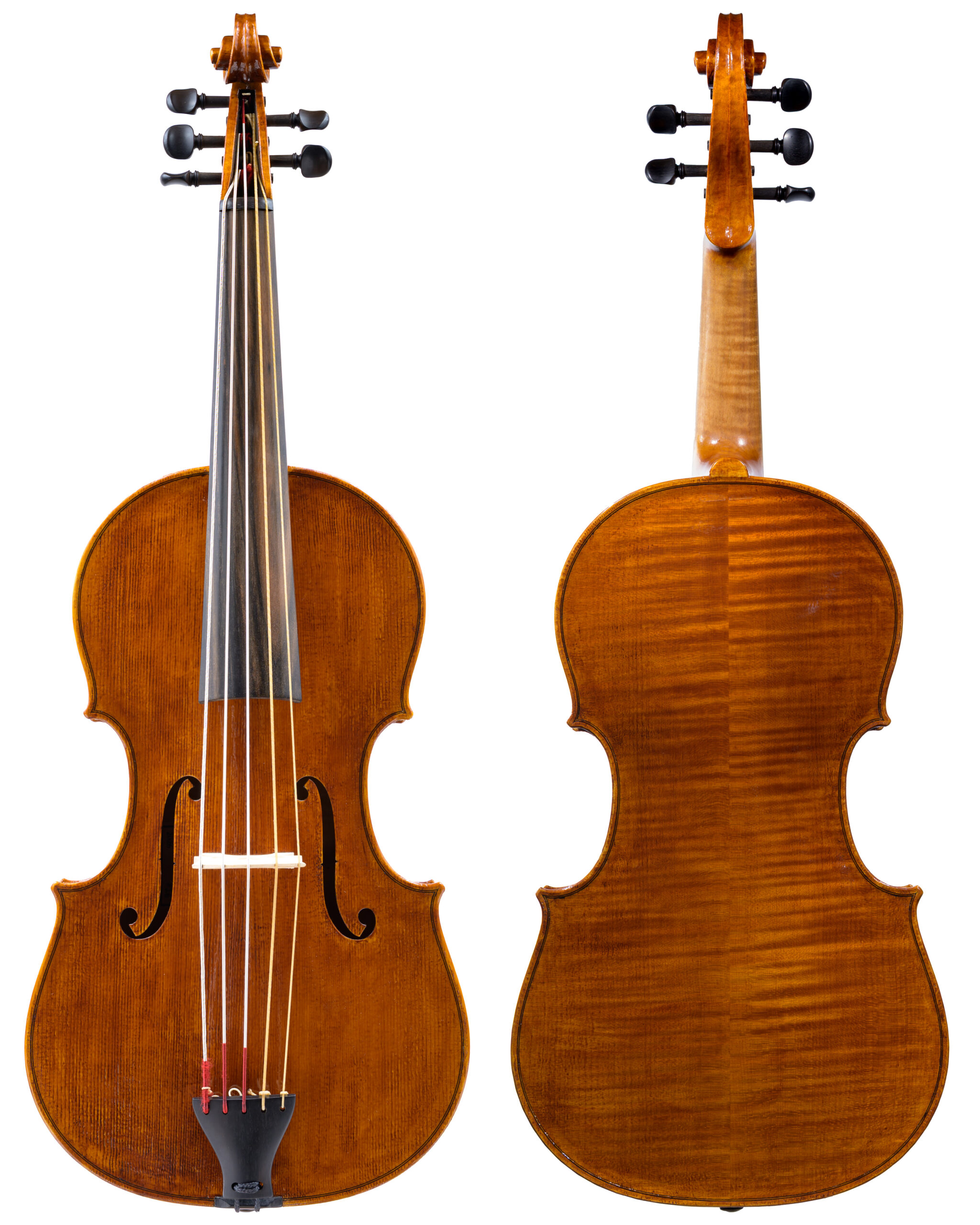 Nathan Giglierano op. 26 Personal Model Violoncello Da Spalla